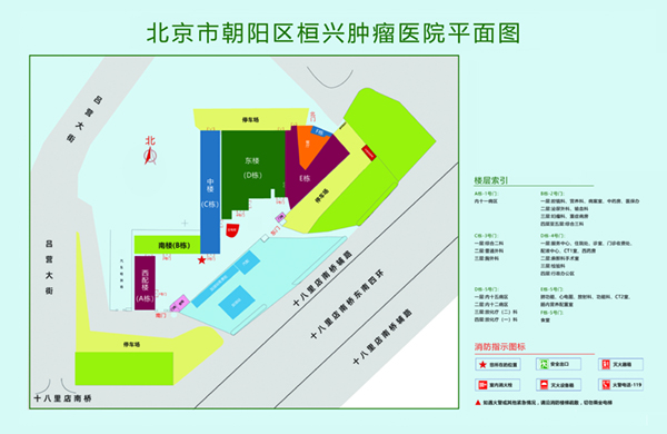 小孩操逼的视频北京市朝阳区桓兴肿瘤医院平面图